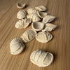 Bronze-drawn whole wheat orecchiette